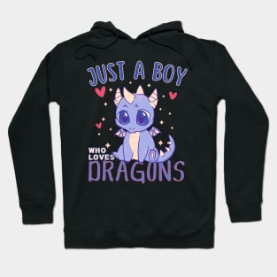 Just a Boy Who Loves Dragons Hoodie